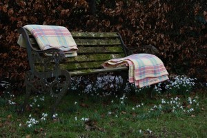 Bronwydd Softies Primrose & Strawberry plaids CP36
